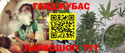 тгк Шебекино