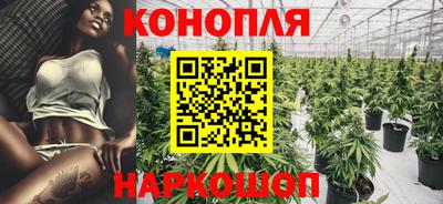 тгк Шебекино