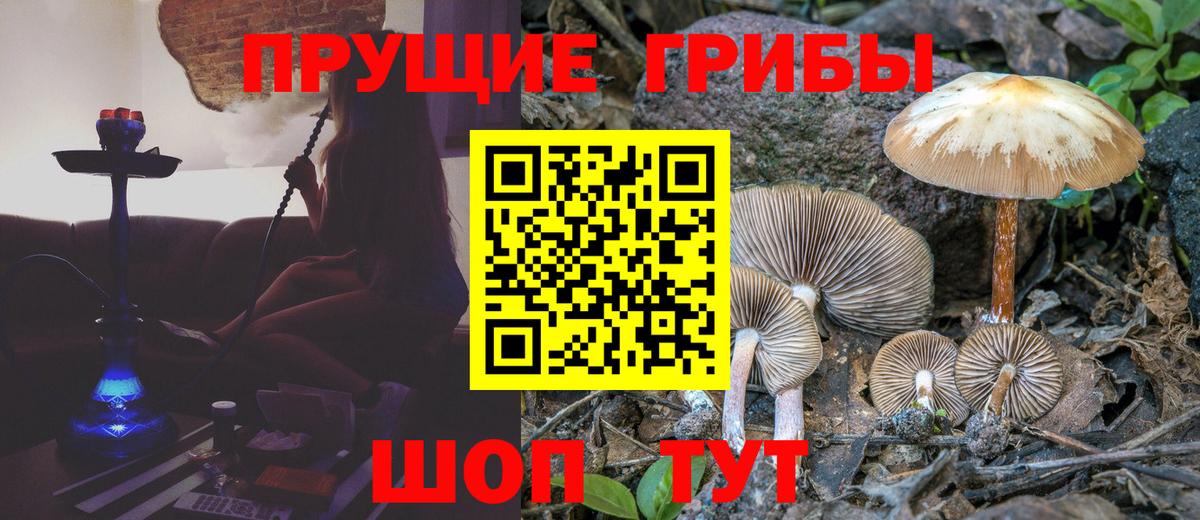 Архангельск  Галлюциногенные грибы GOLDEN TEACHER  Псилоцибиновые грибы Cubensis  Вход с VPN 