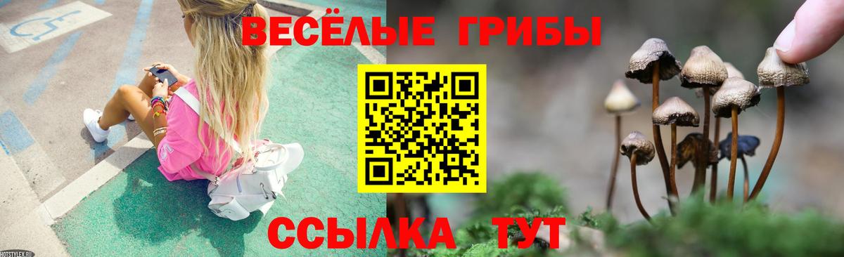 ГАШ  Архангельск  Меф МЯУ МЯУ кристаллы  Вход с VPN  Бошки Шишки  COCAIN 